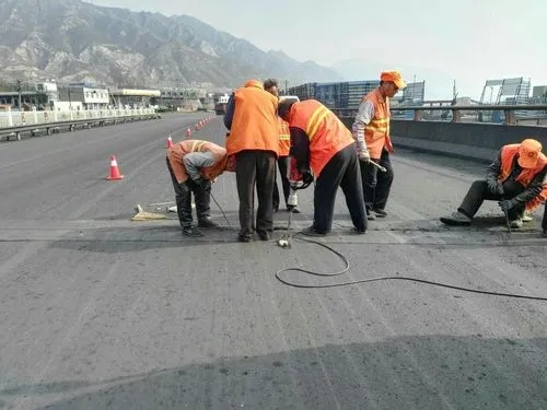 东至道路桥梁病害治理